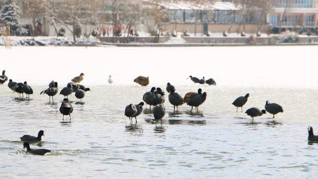 Başkent beyaza büründü