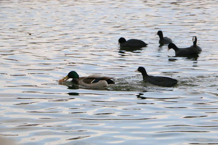 Başkent beyaza büründü G4