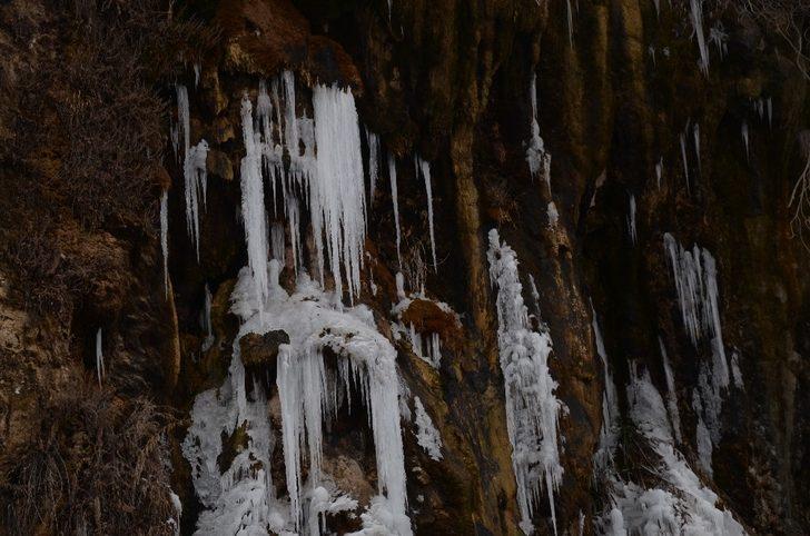 Şırnak’ta buz kesti! Soğuktan şelaleler dondu G4