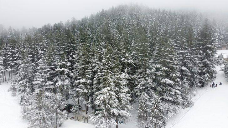 Türkiye'nin Alpler'i: Başkonuş Yaylası G1