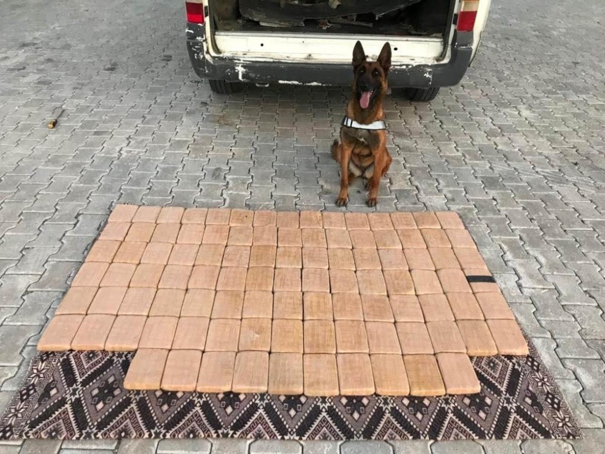 Van polisi 2019 yılında 5 ton 756 kilo uyuşturucu ele ge&ccedil;irdi