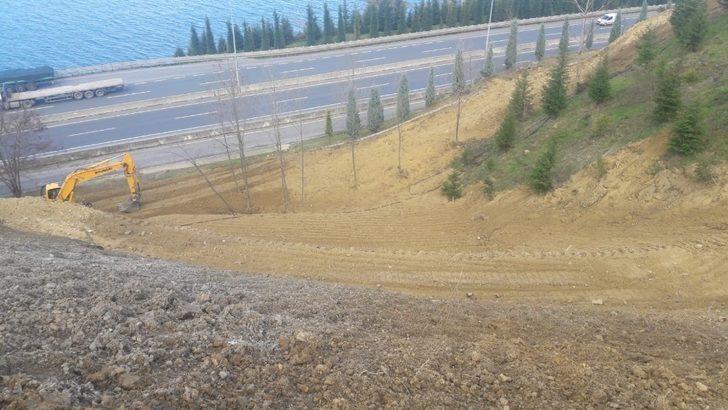 Ulaşlı’da toprak kayması yaşanan arazi ağaçlandırıldı G2