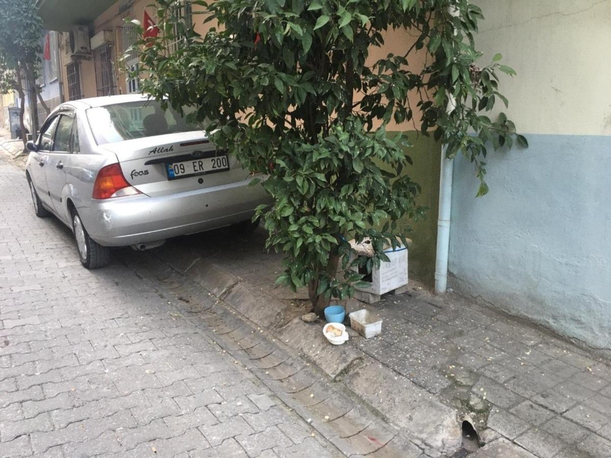 Aydın&rsquo;da soğuk havada i&ccedil; ısıtan g&ouml;r&uuml;nt&uuml;