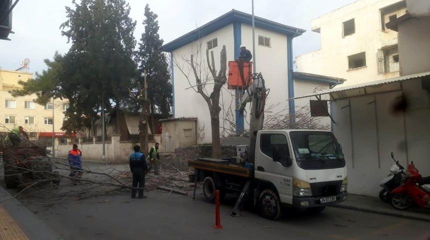 -Kilis&rsquo;te cadde ve yollardaki ağa&ccedil;ların budanmaya devam ediliyor