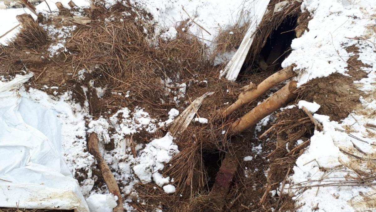 Kardan dolayı ahır &ccedil;&ouml;kt&uuml;, 4 hayvan telef oldu