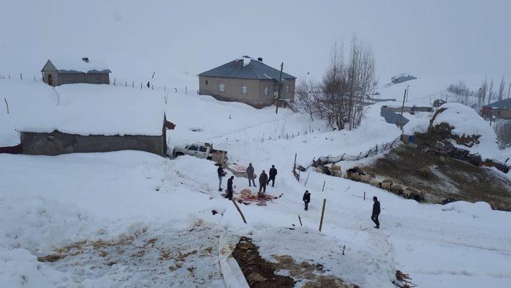 Kardan dolayı ahır çöktü, 4 hayvan telef oldu G4