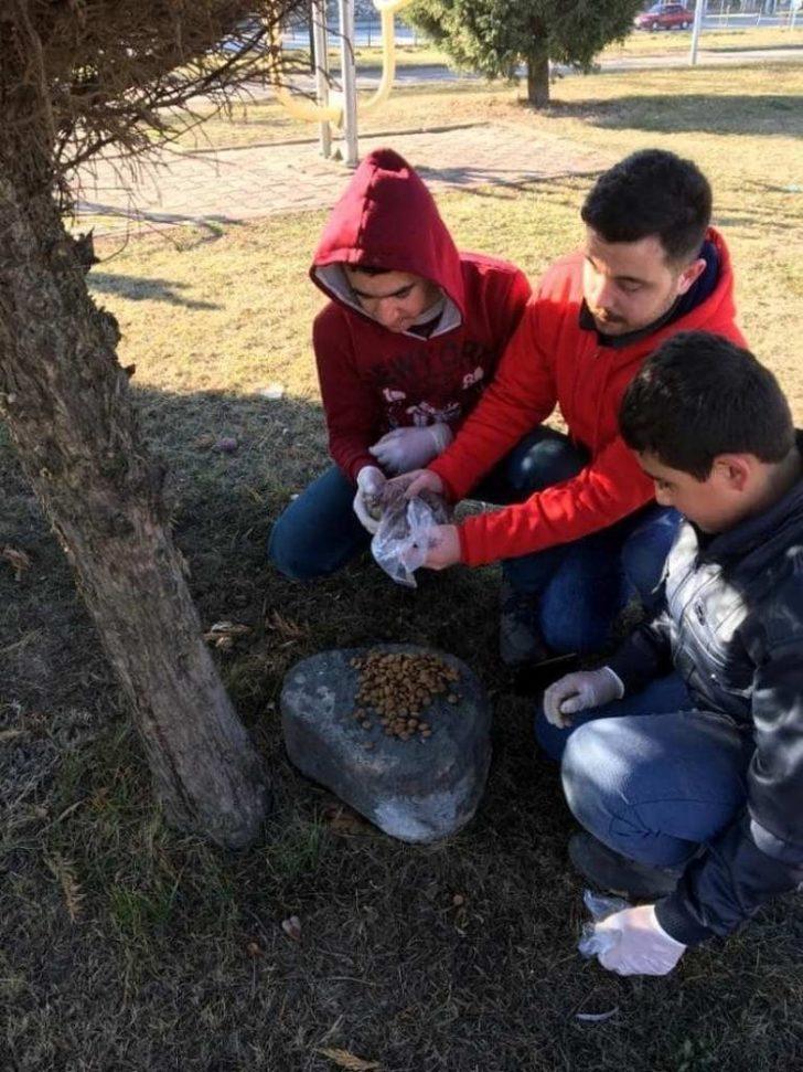 Sosyal medyadan sosyal meydana G4