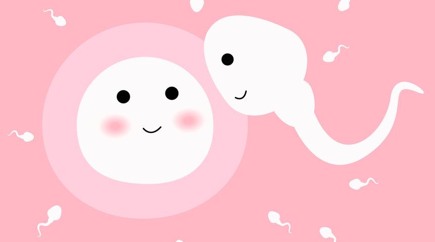 Sperm nedir? İşte sperm hakkında merak edilenler