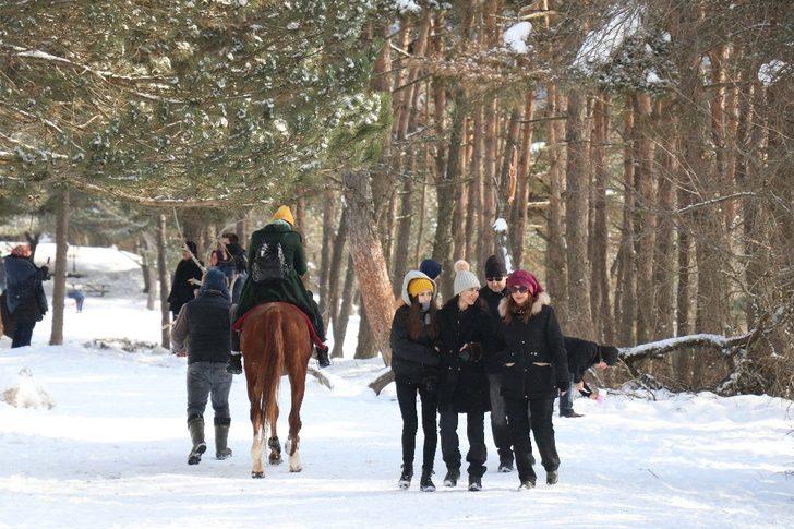 Abant Tabiat Parkı tatilcilerin uğrak noktası oldu G2