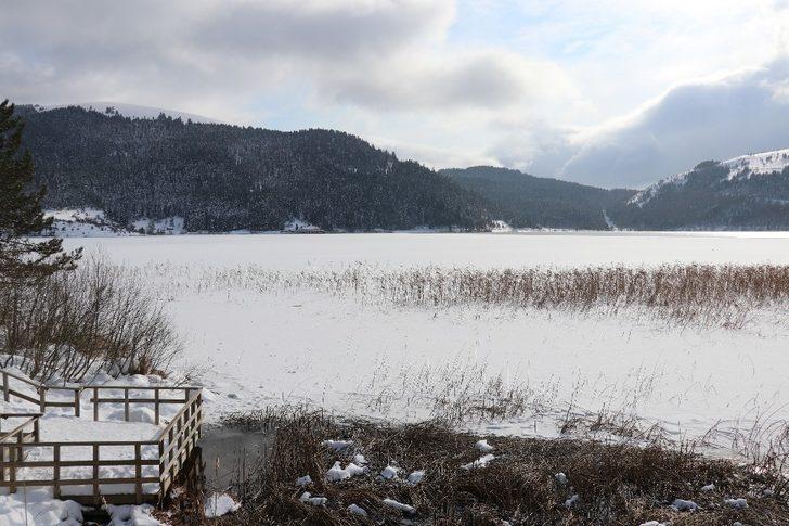 Abant Tabiat Parkı tatilcilerin uğrak noktası oldu G3