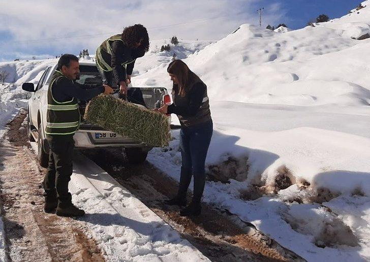 Yaban hayvanları için doğaya yem bırakıldı G2