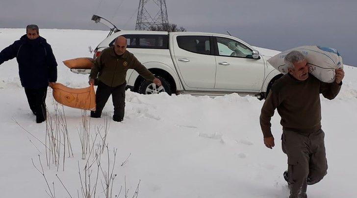 Yaban hayvanları için doğaya yem bırakıldı G4