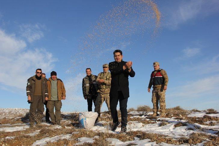 Sivas’ta yaban hayatı unutulmadı G1