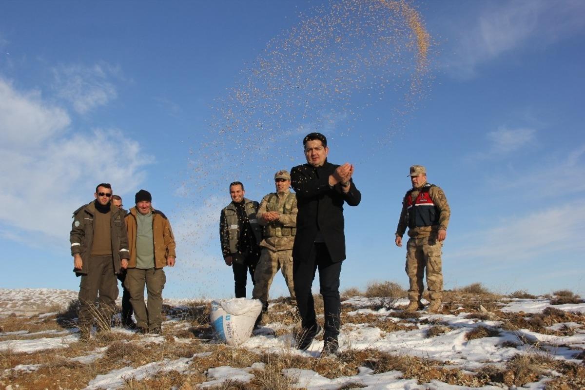 Sivas&rsquo;ta yaban hayatı unutulmadı