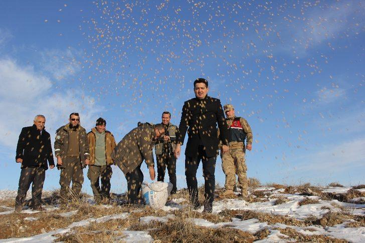 Sivas’ta yaban hayatı unutulmadı G2