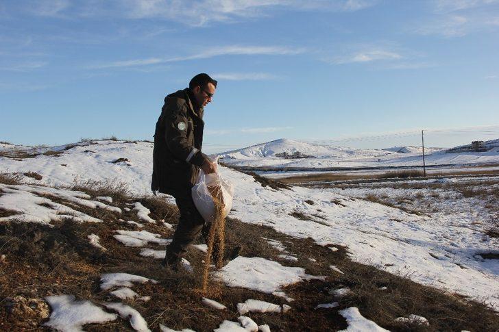 Sivas’ta yaban hayatı unutulmadı G3