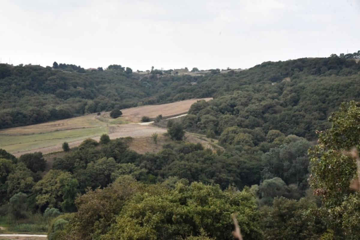 &Ccedil;orlu&rsquo;nun tek ormanlık b&ouml;lgesi yaşamaya devam edecek