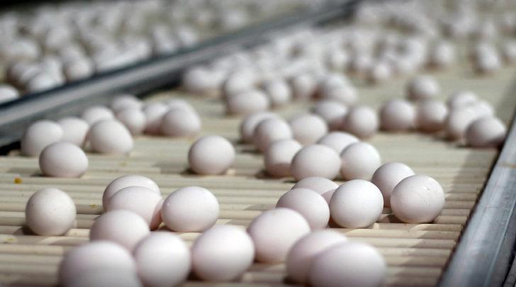 'KDV indirimi, yumurta üreticisine nefes aldırdı' G5