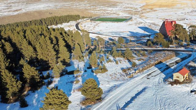 Ardahan'a bal ormanı