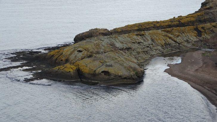 Ordu'daki ‘Timsah Adası’ görenleri şaşırttı! G1