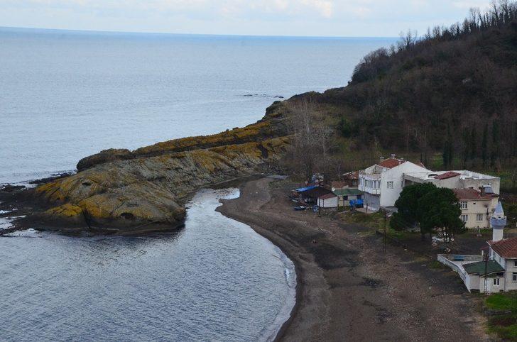 Ordu'daki ‘Timsah Adası’ görenleri şaşırttı! G2