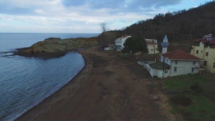 Ordu'daki ‘Timsah Adası’ görenleri şaşırttı! G5