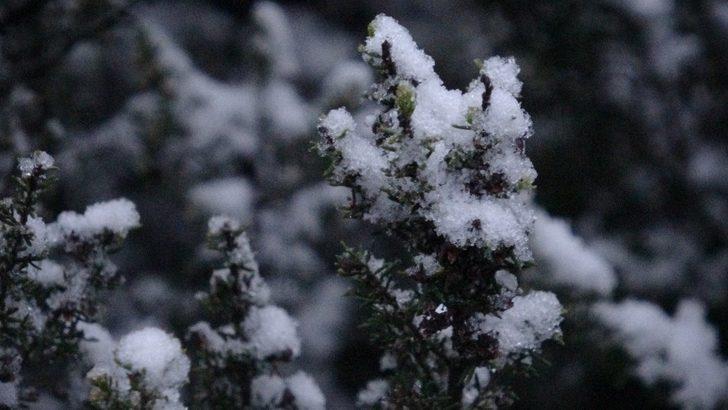 İstanbul’da kar yağışı! Aydos Ormanı beyaz örtüyle kaplandı G4