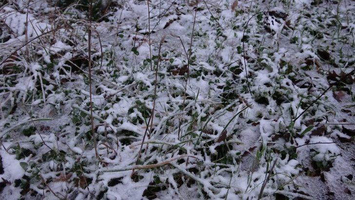 İstanbul’da kar yağışı! Aydos Ormanı beyaz örtüyle kaplandı G5