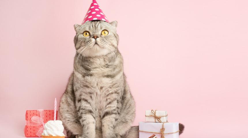 Doğum günü mesajları: Sevgiliye, aileye, arkadaşa