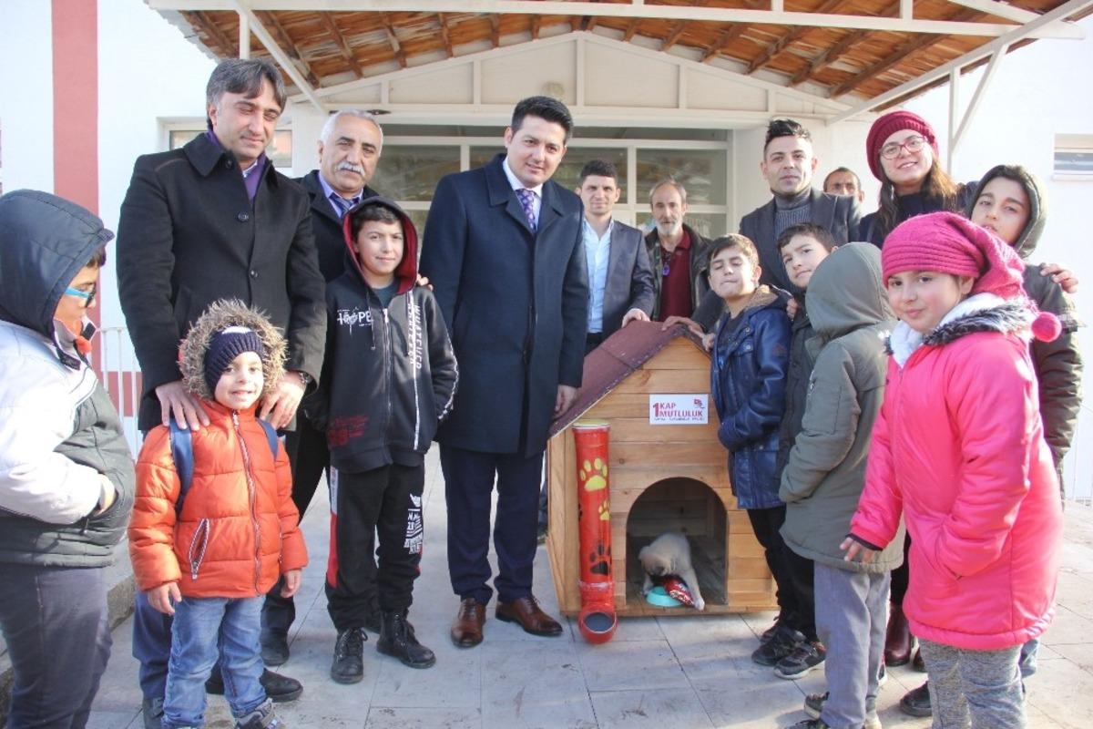 &Ouml;ğrencilerden sokak hayvanlarına sıcak yuva