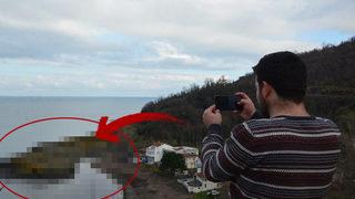 Ordu'daki ‘Timsah Adası’ görenleri şaşırttı!
