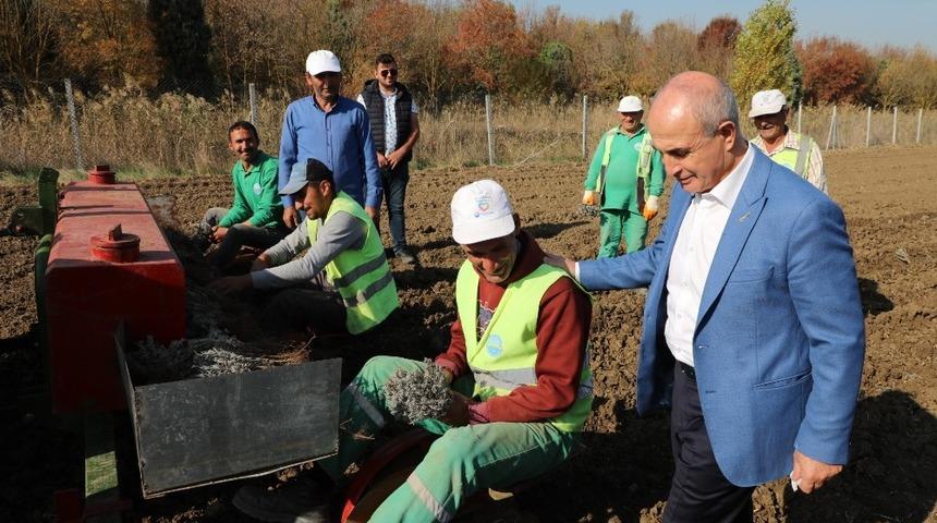B&uuml;y&uuml;k&ccedil;ekmece&rsquo;de &ldquo;Tarım Yılı&rdquo; eğitim programı başlıyor