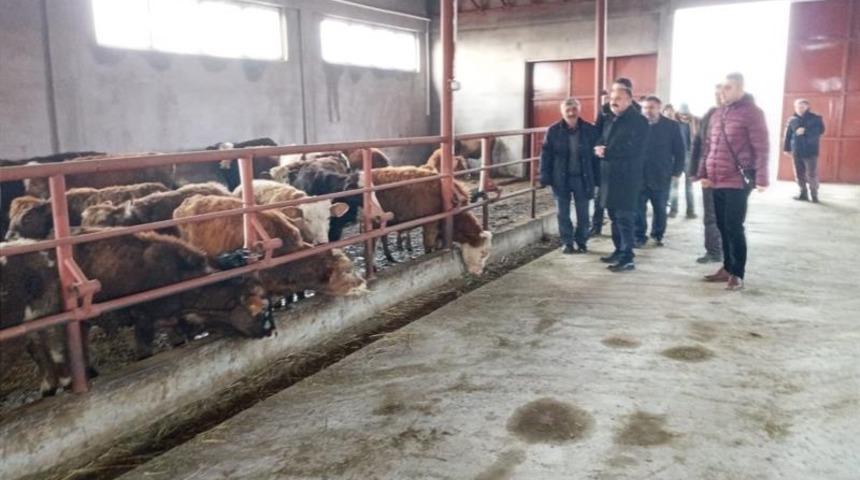 Iğdır&rsquo;da işletme denetimleri devam ediyor