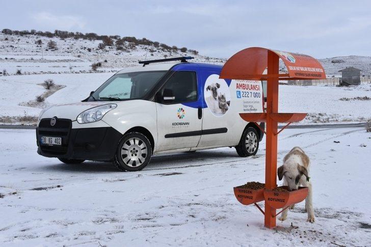 Kocasinan Belediyesi’nden sokak hayvanları için seferberlik G2