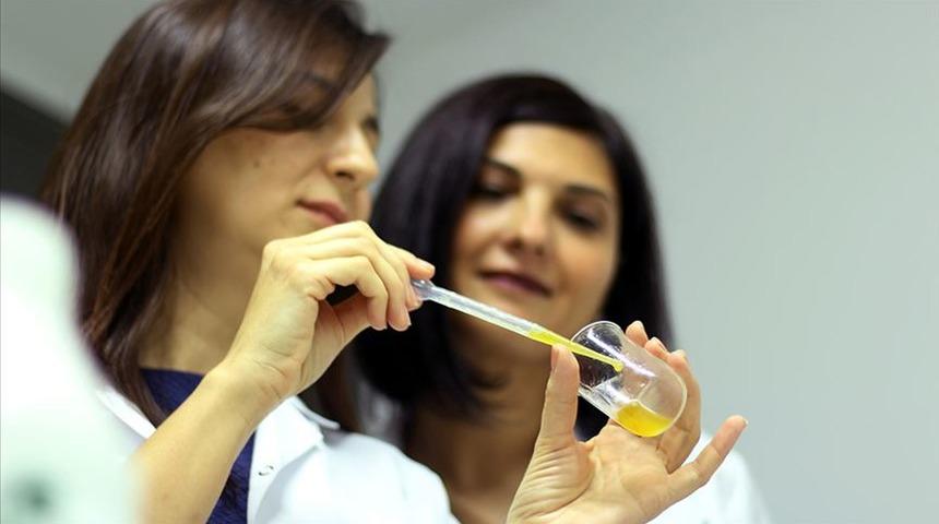  KOSGEB desteğiyle D vitaminli zeytinyağı ürettiler