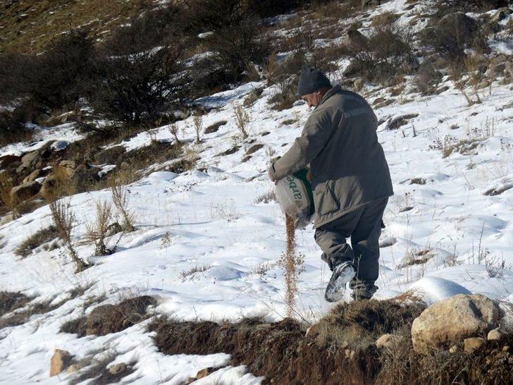 DKMP ekipleri bir taraftan doğaya yem bırakırken, bir taraftan da avcıları denetliyor G3