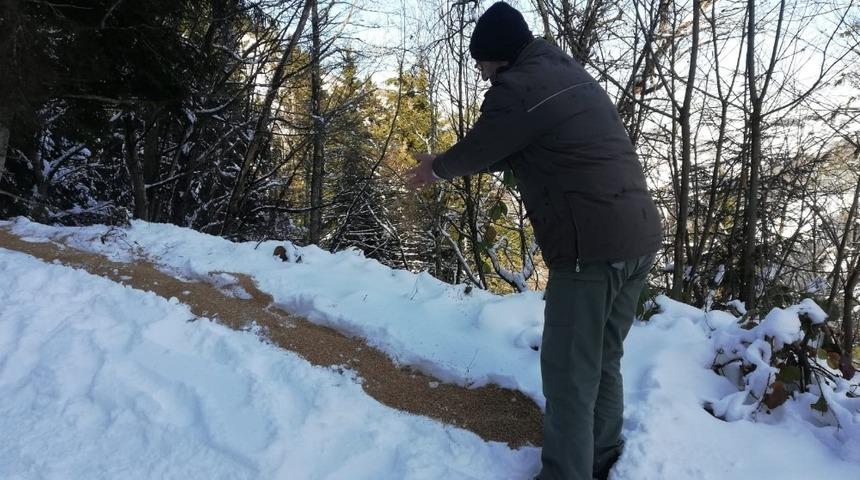 Trabzon&rsquo;da yaban hayvanları unutulmadı