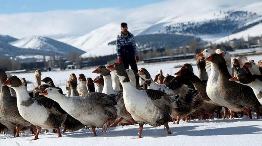 Ankara&rsquo;da Kars, Ardahan, Iğdır G&uuml;nleri başlıyor