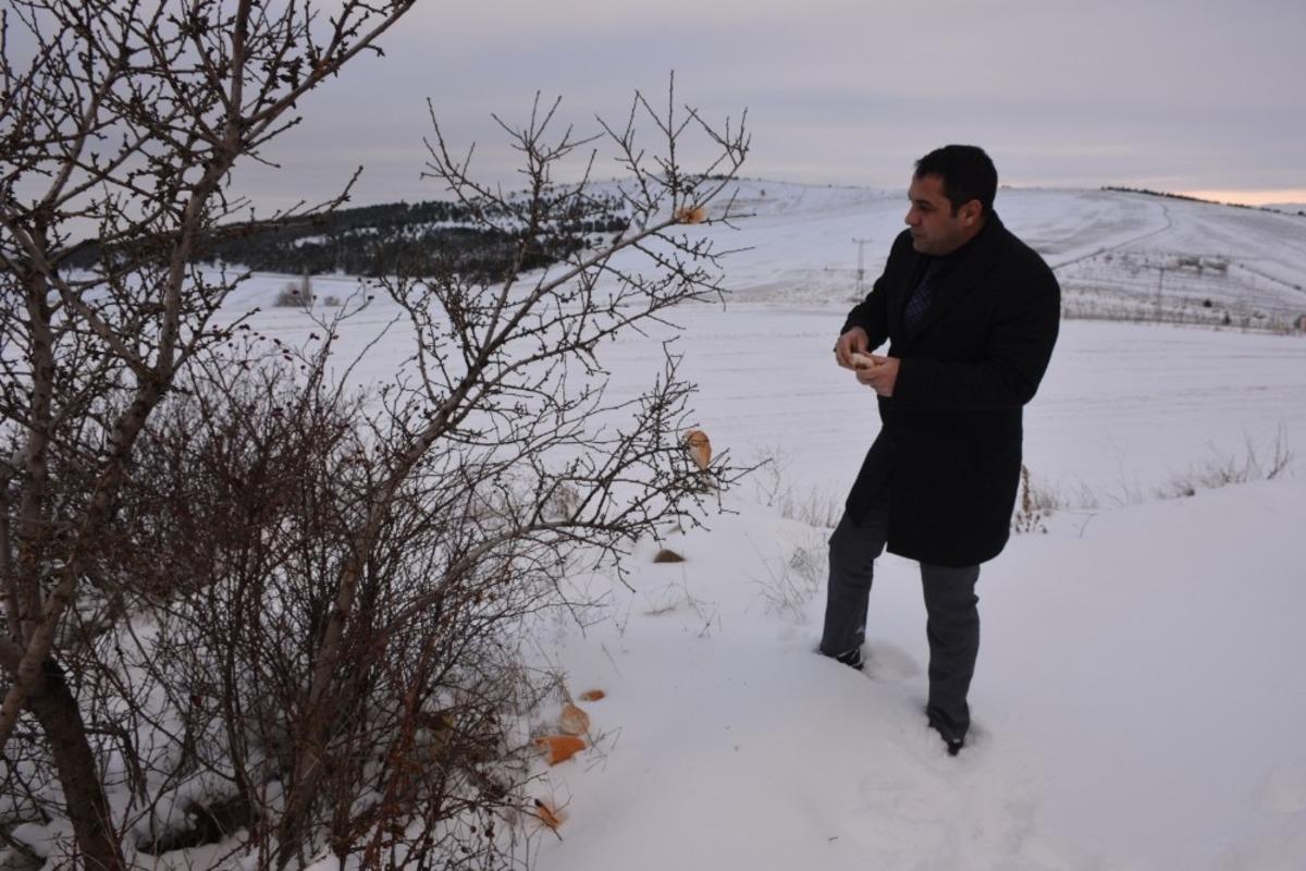 Sorgun&rsquo;da sokak hayvanları i&ccedil;in doğaya yiyecek bırakıldı