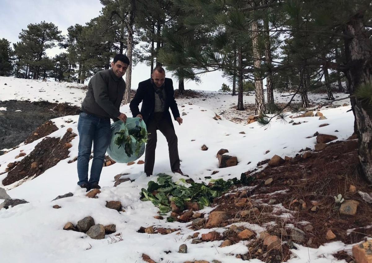 Muğla&rsquo;daki yaban hayvanlarına yem