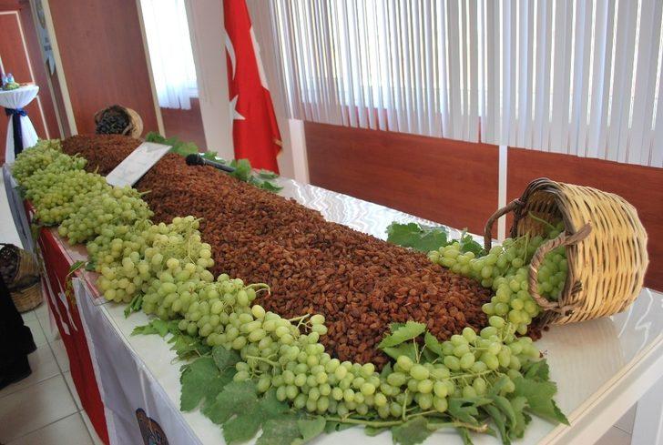 Kuru üzümde rekor ihracat rakamı yüz güldürdü G4