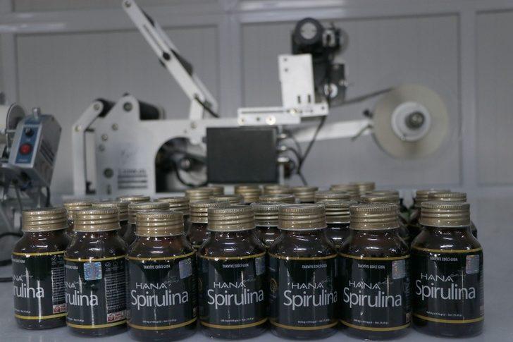 Serada ürettiği yosunu 6 ülkeye ihraç ediyor G4