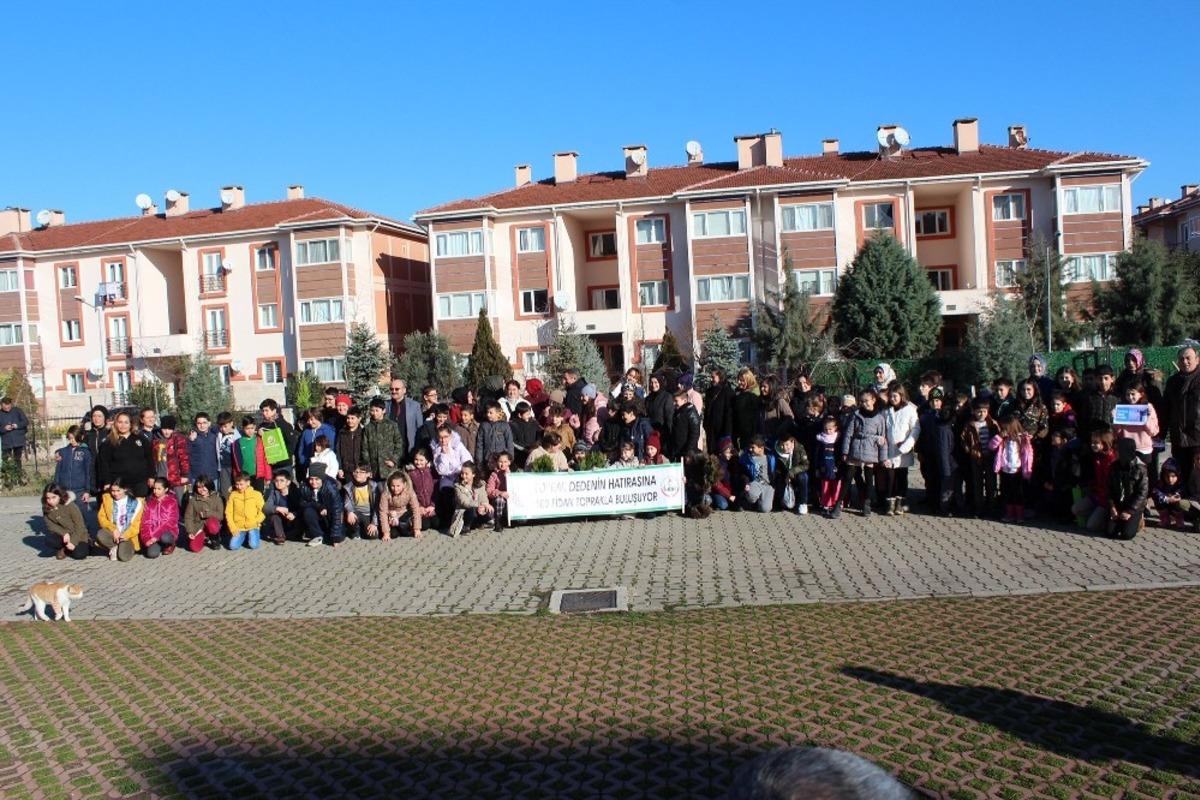 Karaca i&ccedil;in fidan diktiler