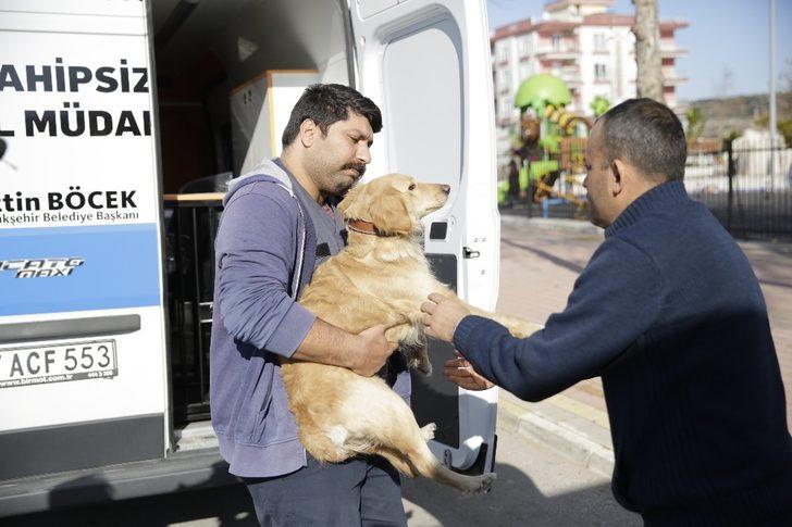 Sahibini kaybeden köpek üşüyünce otobüse sığındı G3