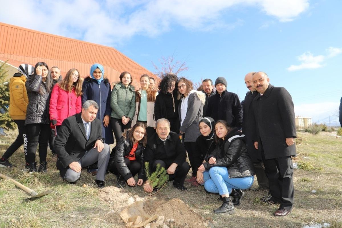 Toprak Dede i&ccedil;in fidan dikildi