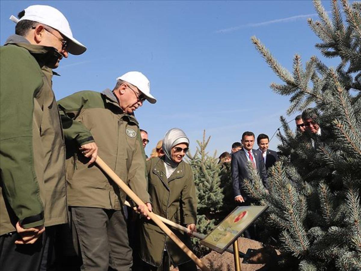 '10 milyon fidan kurudu' iddiasına Tarım ve Orman Bakanlığı'ndan a&ccedil;ıklama
