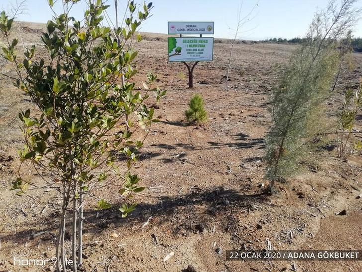 '10 milyon fidan kurudu' iddiasına Tarım ve Orman Bakanlığı'ndan açıklama G2