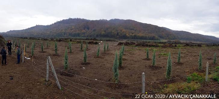 '10 milyon fidan kurudu' iddiasına Tarım ve Orman Bakanlığı'ndan açıklama G3
