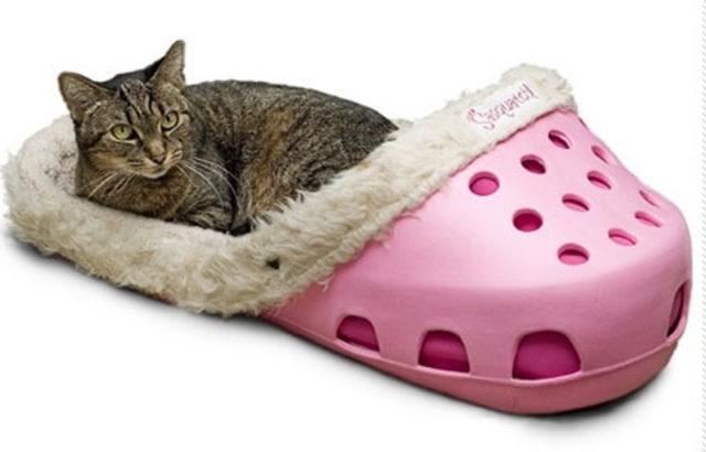 D&uuml;nyanın En İlgin&ccedil; Yatakları 3