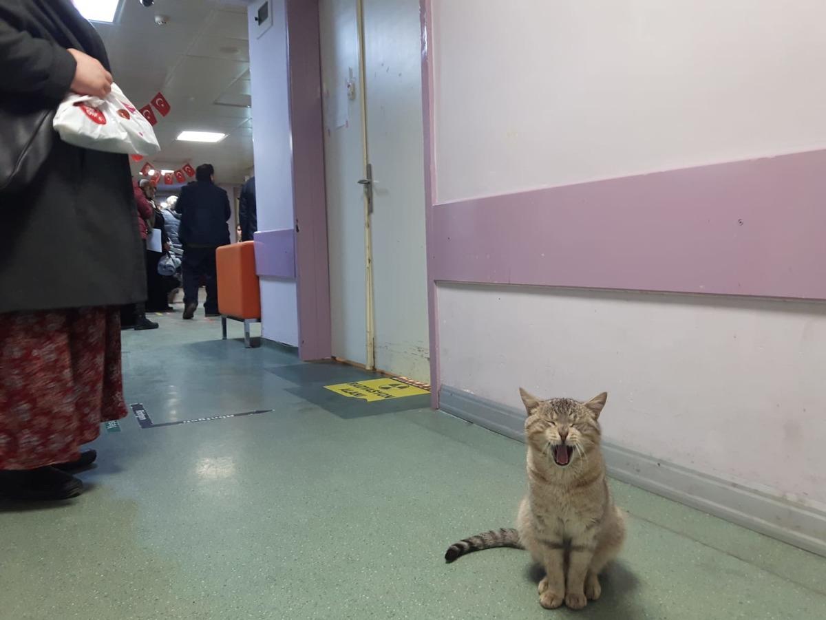 İşte D&uuml;zce'deki devlet hastanesinin maskotu Acil